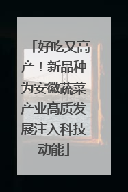 好吃又高产！新品种为安徽蔬菜产业高质发展注入科技动能