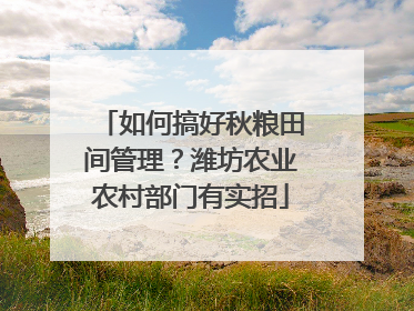 如何搞好秋粮田间管理？潍坊农业农村部门有实招