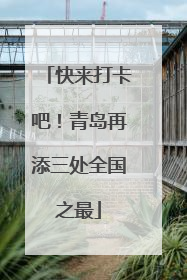 快来打卡吧！青岛再添三处全国之最