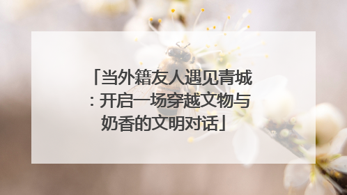 当外籍友人遇见青城：开启一场穿越文物与奶香的文明对话