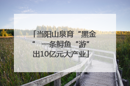 当阳山泉育“黑金” 一条鲟鱼“游”出10亿元大产业