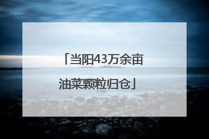 当阳43万余亩油菜颗粒归仓