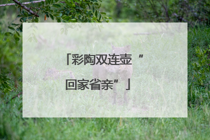 彩陶双连壶“回家省亲”