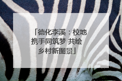 德化李溪：校地携手同筑梦 共绘乡村新图景