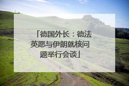 德国外长：德法英愿与伊朗就核问题举行会谈