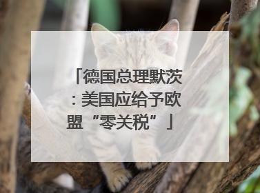 德国总理默茨：美国应给予欧盟“零关税”