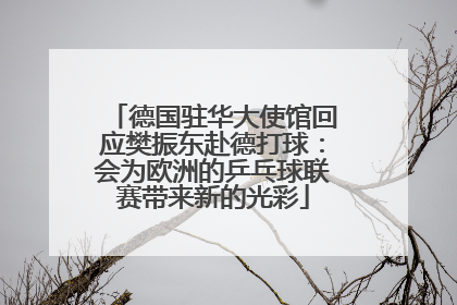 德国驻华大使馆回应樊振东赴德打球：会为欧洲的乒乓球联赛带来新的光彩