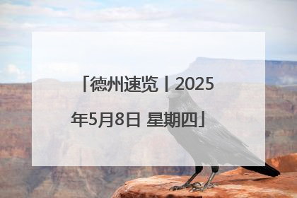 德州速览丨2025年5月8日 星期四