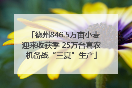 德州846.5万亩小麦迎来收获季 25万台套农机备战“三夏”生产