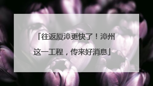 往返厦漳更快了！漳州这一工程，传来好消息