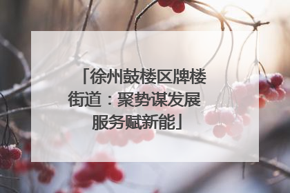 徐州鼓楼区牌楼街道：聚势谋发展 服务赋新能