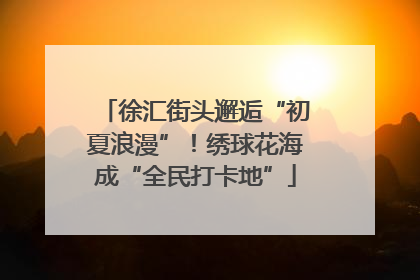 徐汇街头邂逅“初夏浪漫”！绣球花海成“全民打卡地”