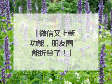 微信又上新功能，朋友圈能折叠了！