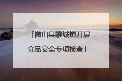 微山县驩城镇开展食品安全专项检查