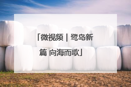 微视频｜鹭岛新篇 向海而歌