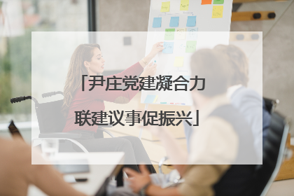 尹庄党建凝合力 联建议事促振兴