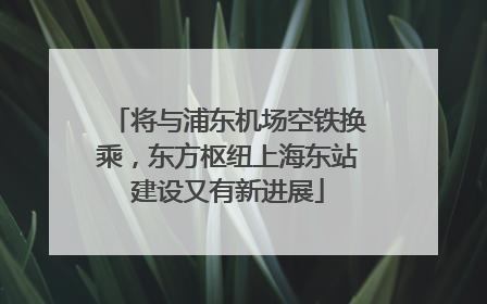 将与浦东机场空铁换乘，东方枢纽上海东站建设又有新进展