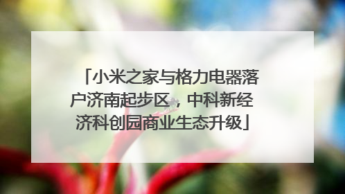 小米之家与格力电器落户济南起步区，中科新经济科创园商业生态升级