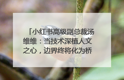 小红书高级副总裁汤维维：当技术深植人文之心，边界终将化为桥梁｜聚焦2025文化强国建设高峰论坛