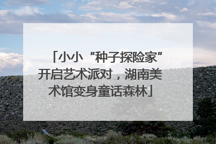 小小“种子探险家”开启艺术派对，湖南美术馆变身童话森林