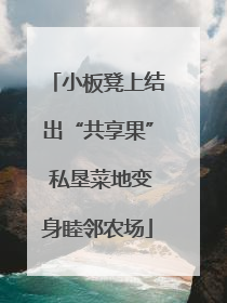 小板凳上结出“共享果” 私垦菜地变身睦邻农场