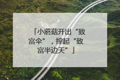 小蘑菇开出“致富伞”，撑起“致富半边天”