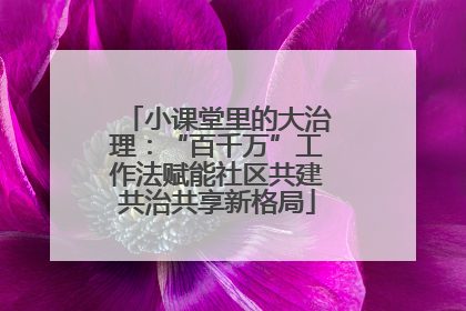 小课堂里的大治理：“百千万”工作法赋能社区共建共治共享新格局