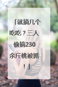 就摘几个吃吃？三人偷摘230余斤桃被抓！