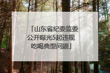 山东省纪委监委公开曝光5起违规吃喝典型问题