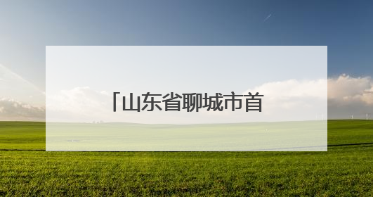 山东省聊城市首届0-3岁婴幼儿运动会圆满落幕