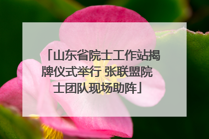 山东省院士工作站揭牌仪式举行 张联盟院士团队现场助阵