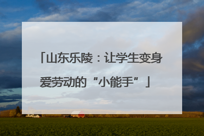 山东乐陵：让学生变身爱劳动的“小能手”