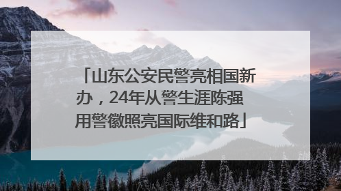 山东公安民警亮相国新办，24年从警生涯陈强用警徽照亮国际维和路