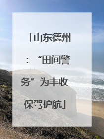 山东德州：“田间警务”为丰收保驾护航