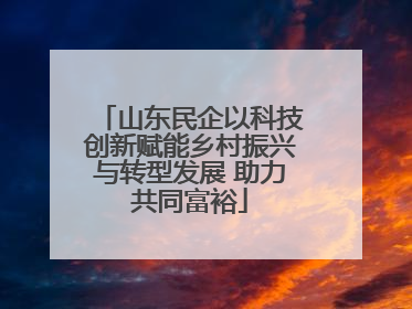 山东民企以科技创新赋能乡村振兴与转型发展 助力共同富裕