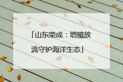 山东荣成：增殖放流守护海洋生态