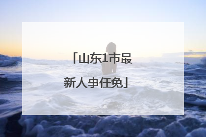 山东1市最新人事任免