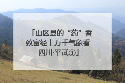 山区县的“药”香致富经丨万千气象看四川·平武③