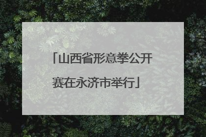 山西省形意拳公开赛在永济市举行