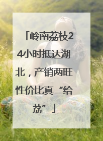 岭南荔枝24小时抵达湖北，产销两旺性价比真“给荔”
