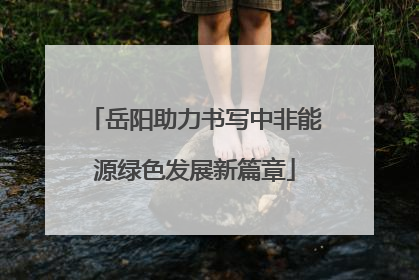 岳阳助力书写中非能源绿色发展新篇章