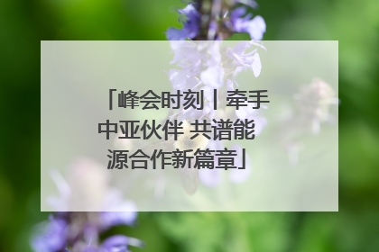 峰会时刻丨牵手中亚伙伴 共谱能源合作新篇章