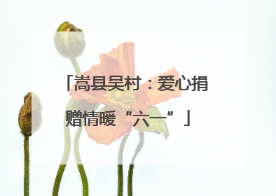 嵩县吴村：爱心捐赠情暖“六一”
