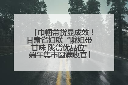 巾帼带货显成效！甘肃省妇联“陇姐带甘味 陇货优品位”端午集市圆满收官