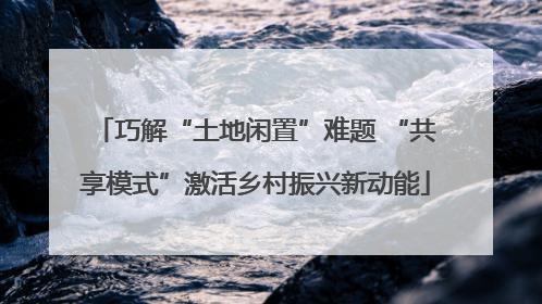 巧解“土地闲置”难题 “共享模式”激活乡村振兴新动能
