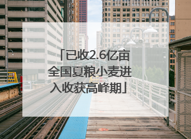 已收2.6亿亩 全国夏粮小麦进入收获高峰期