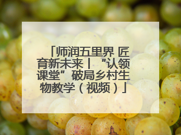 师润五里界 匠育新未来丨“认领课堂”破局乡村生物教学（视频）