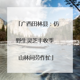 广西田林县：仿野生灵芝丰收季 山林间劳作忙