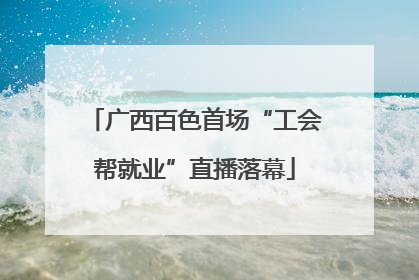 广西百色首场“工会帮就业”直播落幕