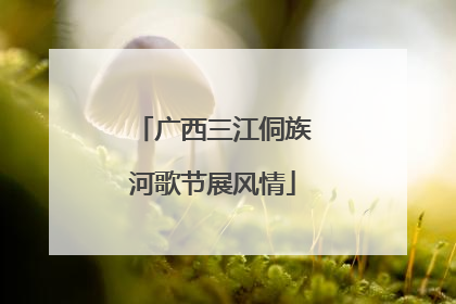 广西三江侗族河歌节展风情